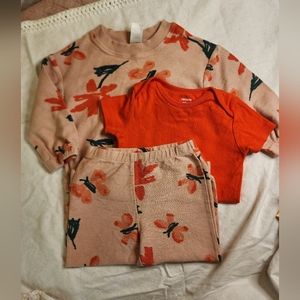 Carter's 3 Piece Set - 18 months/girl